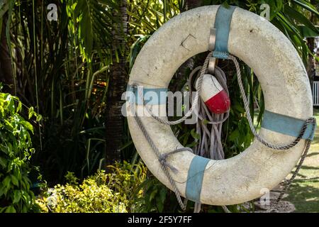 Ein alter vergilbter Rettungsring, oder Rettungsschwimmer mit braunen Seilen und einer weißen und gelben Boje, die an einem Baum in einem dicken, hellen Dschungel auf Barbados hängt. Stockfoto