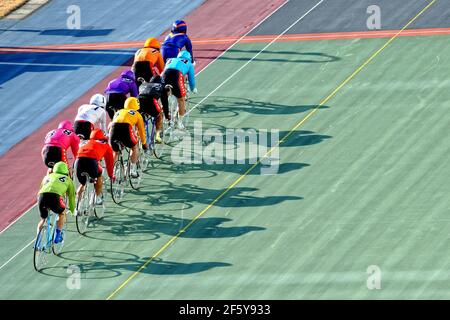 Keirin Racing in Japan Stockfoto