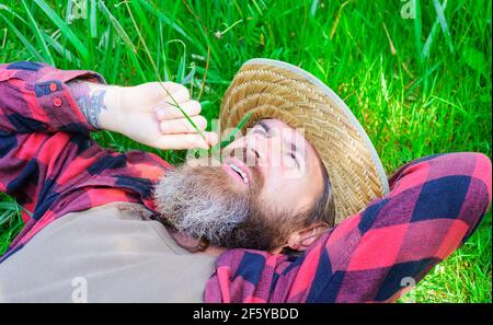 Genießen Sie einen sonnigen Tag. Glücklicher Bartender, der im Sommer auf grünem Gras im Freien relaxt. Stockfoto