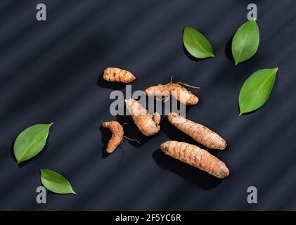 Organische Kurkuma Wurzeln - Curcuma longa. Gesunde Ernährung Stockfoto