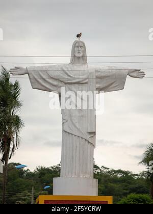 Cassilandia, Mato Grosso do Sul, Brasilien - 02 05 2021: Christusstatue vom Stadtfriedhof mit Buffhals-Ibis der Art Theristicus caudatus Stockfoto