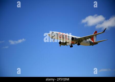 salvador, bahia, brasilien - 17. januar 2021: Boeing 737 MAX 8 PR-MXD, Flugzeug der Firma Gol Linhas Aereas bei der Landung auf der Landebahn Stockfoto