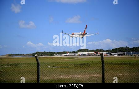 salvador, bahia, brasilien - 17. januar 2021: Boeing 737 MAX 8 PR-MXD, Flugzeug der Firma Gol Linhas Aereas bei der Landung auf der Landebahn Stockfoto