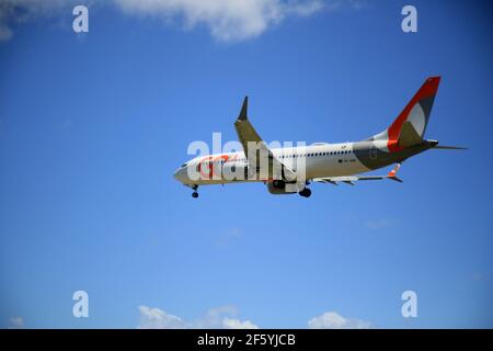 salvador, bahia, brasilien - 17. januar 2021: Boeing 737 MAX 8 PR-MXD, Flugzeug der Firma Gol Linhas Aereas bei der Landung auf der Landebahn Stockfoto
