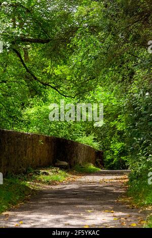 Steinweg an der Außenseite der Mauer, die Rothenburg ob der Tauber Bayern umgibt. Stockfoto