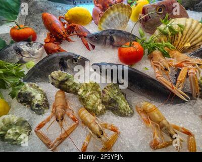 Frischer Fisch und verschiedene Meeresfrüchte auf dem Regal Stockfoto