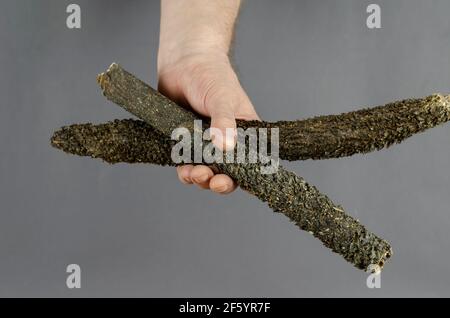 Getrocknetes Rindfleisch Kutteln und ein Mann die Hand auf einem grauen Hintergrund. Die Hand hält zwei Stangen Kuhmagen. Natürliche Hundefreuden. Waren für Tiere. Stockfoto