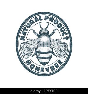 Honigbiene. Honey Biene handgezeichnete Vintage Stil Illustration und Logo Vorlage. Gravur Stil Biene Zeichnung. Stock Vektor