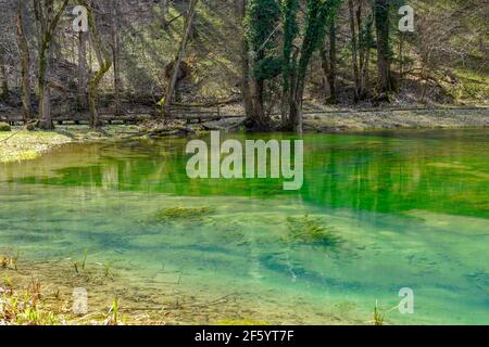 See mit natürlichem, grünem Wasser, umgeben von Wald und Grün Vegetation Stockfoto