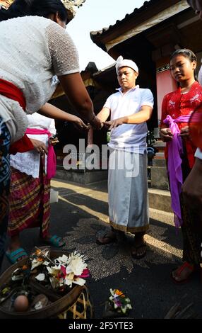 Eine Segnungszeremonie vor der Hochzeit in einem kleinen Hindu-Tempel in Ubud, Bali, Indonesien. Stockfoto