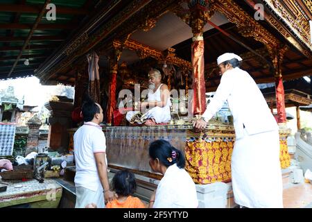 Ein balinesischer Hindu-Priester segnet einen Bräutigam in einer Vorhochzeit-Zeremonie in einem kleinen Tempel in Ubud, Bali, Indonesien. Stockfoto