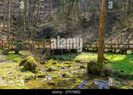 Ein Holzsteg mit einer Brücke, die einen kleinen Bach in einem bewaldeten Gebiet überquert. Stockfoto