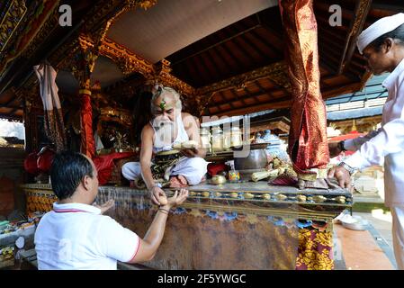 Ein balinesischer Hindu-Priester segnet einen Bräutigam in einer Vorhochzeit-Zeremonie in einem kleinen Tempel in Ubud, Bali, Indonesien. Stockfoto