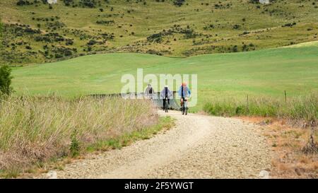 Drei Personen radeln auf dem Otago Central Rail Trail in Richtung Middlemarch, Südinsel, Neuseeland Stockfoto