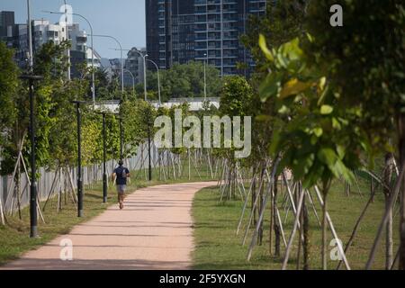 Rückansicht eines Joggers, der auf einem geräumigen künstlichen Trail an einem wunderschönen Parkanschluss in Singapur läuft. Stockfoto