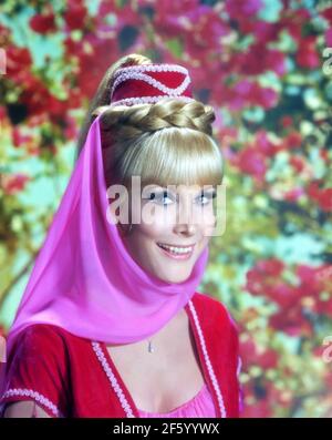 BARBARA EDEN in I DREAM OF JEANNIE (1965), Regie HAL COOPER und CLAUDIO GUZMAN. Kredit: BILDSCHIRM EDELSTEINE / Album Stockfoto