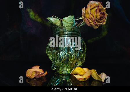 Rose, trockene Rose, Nahaufnahme, Stillleben, welke Blume, Detailaufnahme, Nahaufnahme, Detailaufnahme, historische Vase, Vergänglichkeit, Vergänglichkeit, Stockfoto