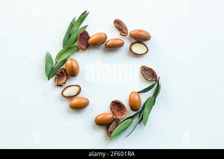 Argan-Samen auf weißem Hintergrund isoliert. Arganöl Nüsse mit Pflanze. Kosmetik und natürliche Öle Hintergrund. Stockfoto