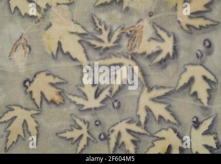 Fragment von handgefärbtem Stoff mit Eco-Print-Technik Stockfoto