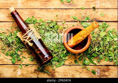 Medizinische, pflanzliche Tinktur aus orthilia secunda.Kräutermedizin.Heilkräuter Stockfoto