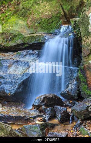 Ein zarter Wasserfall, der über moosige Felsen in den Blue Mountains, New South Wales, Australien, stürzt Stockfoto