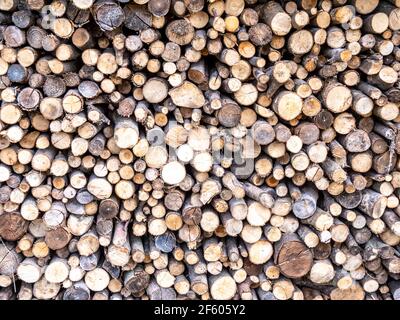 Holz Hintergrund Baumstämme gestapelt Stockfoto