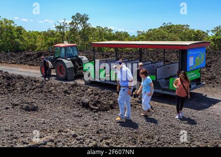 Touristen, die die Lavafelder von Rangitoto Island, einem schlafenden Vulkan in Neuseeland, mit dem „Straßenzug“ erkunden Stockfoto