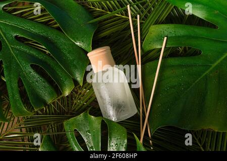 Aroma Reed Diffusor Home Duft mit Rattan-Sticks auf grün Hintergrund mit tropischen Palmenblättern und Wassertropfen Stockfoto