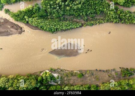 Luftaufnahme des breiten schmutzigen Flusses mit schlammigem Wasser in der Überflutungszeit während der starken Regenfälle im Frühjahr. Stockfoto