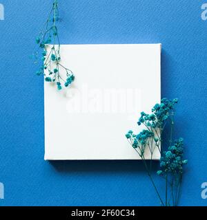 Leere Leinwand mit blauen Gypsophila Trockenblumen auf blauem Hintergrund. Draufsicht, Kopierraum Stockfoto
