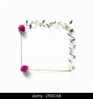 Lila Globus Amaranth trockene Blumen und Eukalyptusblätter auf weißem Hintergrund. Flach legen, Draufsicht, Kopierraum Stockfoto
