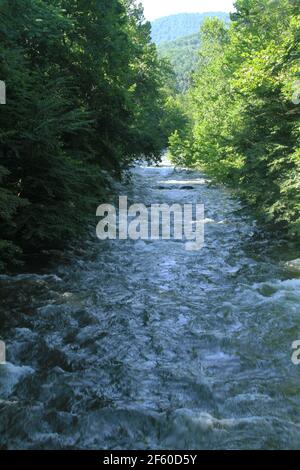 Wasserfluss in den Blue Ridge Mountains, Virginia, USA Stockfoto