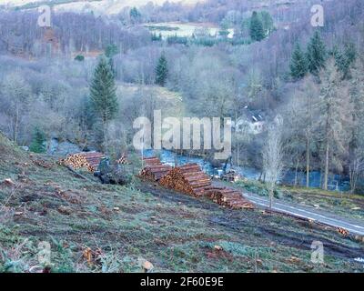 Forstbetriebe in den schottischen Highlands. Glen Urquhart, Highland, Schottland Stockfoto