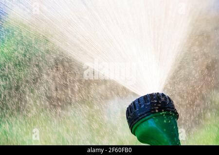 Nahaufnahme des Rasensprinklers mit Hintergrundbeleuchtung, der Wasser ausstreckt. Bewässerung Bewässerungssystem für Sommergarten Konzept Stockfoto