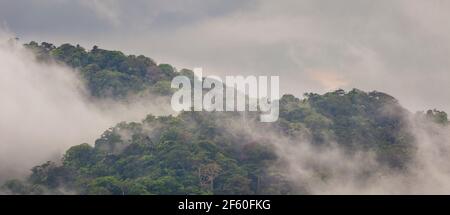 Panama-Landschaft mit Panoramablick auf üppigen und nebligen Regenwald nach Regenfällen im Soberania-Nationalpark, in der Nähe von Gamboa, Republik Panama. Stockfoto