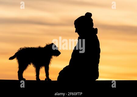 Eine Frau und ihr Hund mit seiner Pfote, die erzogen um ein Vergnügen bettelt, sitzen an einer Wand, umragt von einem schönen bernsteinfarbenen Schein der untergehenden Sonne. Stockfoto