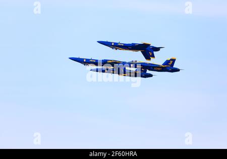 McDonnell Douglas F/A-18 Hornets des US Navy Flight Demonstration Squadron, The Blue Angels, treten während der Fleet Week Nov 2019 über San Francisco auf. Stockfoto