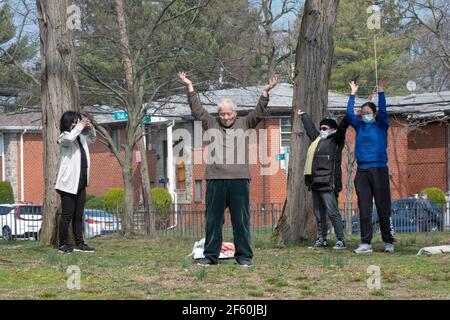 Ein asiatischer Amerikaner, der wahrscheinlich in den Achtzigern ist, führt eine kleine Gruppe in Tai-Chi-Übungen in einem Park in Queens, New York City. Stockfoto