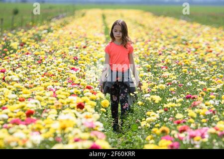 (210329) -- KIRYAT SHMONA, 29. März 2021 (Xinhua) -- EIN junges Mädchen hat Spaß in einem Butterblumen-Feld in der Nähe der nordisraelischen Stadt Kiryat Shmona am 28. März 2021. (Ayal Margolin/JINI über Xinhua) Stockfoto