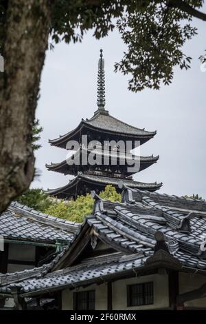 Blick auf die fünfstöckige Pagode im Kofuku-ji Tempel in Nara, Japan Stockfoto