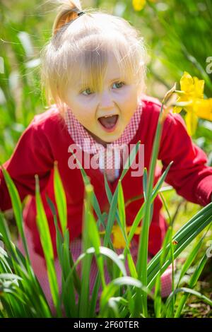 Drei Jahre altes Mädchen in Narzissen Blumen draußen Stockfoto