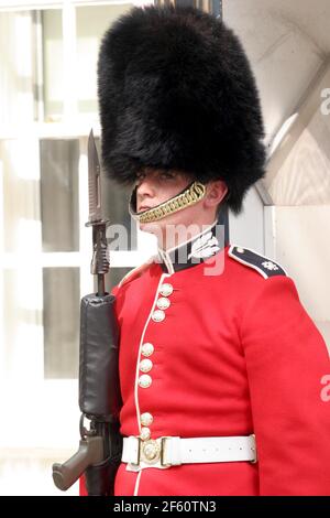 21. April 2011. London, England. Eine königliche Fußwache, ein Mitglied der Schotten-Garde, steht vor Catherin im Wachdienst am Buckingham Palace Stockfoto