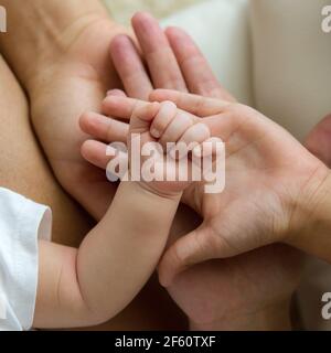 Hände der Familie - Baby, Sohn, Mutter und Vater. Konzept von Familie, Einheit, Schutz, Unterstützung und Glück. Stockfoto