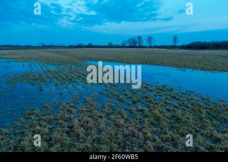 Wasser auf der Wiese, am Horizont und am wolkigen Abendhimmel, Nowiny, Lubelskie, Polen Stockfoto