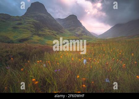 Moody, atmosphärische Berglandschaft der üppigen, grünen Three Sisters of Glencoe bei einem Sommer-Sonnenuntergang oder Sonnenaufgang in den Scottish Highlands, Scotlan Stockfoto