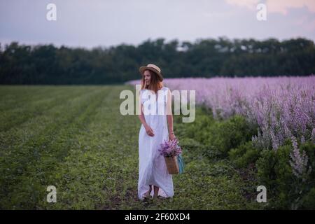 Eine junge Frau in einer weißen Sundress, Strohhut hält einen Weidenkorb mit einem Strauß. Ein Mädchen geht bei Sonnenuntergang durch ein Salbei blühendes rosa Feld. Die Konz Stockfoto