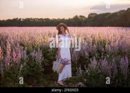 Eine junge Frau in einer weißen Sundress, Strohhut hält einen Weidenkorb mit einem Strauß. Ein Mädchen geht bei Sonnenuntergang durch ein Salbei blühendes rosa Feld. Die Konz Stockfoto