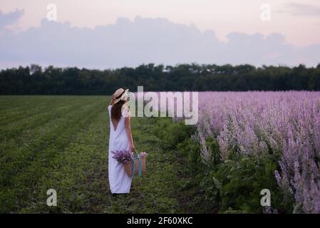 Eine junge Frau in einer weißen Sundress, Strohhut hält einen Weidenkorb mit einem Strauß. Ein Mädchen geht bei Sonnenuntergang durch ein Salbei blühendes rosa Feld. Die Konz Stockfoto