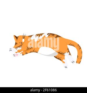 Rote Katze schlafen mit ausgestreckten Pfoten, niedlichen Cartoon-Charakter, Haustier, Vektor-Objekt isoliert auf weißem Hintergrund, Handzeichnung Stock Vektor