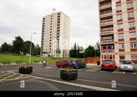 Newton Heath in Manchester bereitet sich auf die Beurteilung im Britain in Bloom Competition vor. Hilda Heydon in den Gärten des Turmblock, in dem sie wohnt. Bewohner haben sich in der Pflege der Gärten pic David Sandison zusammen Stockfoto